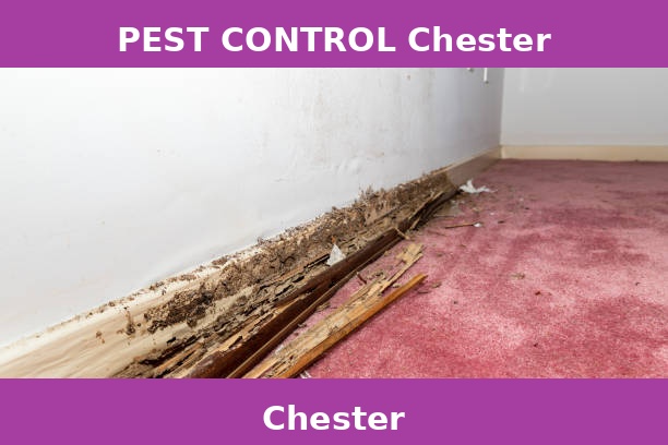 PEST CONTROL Chester